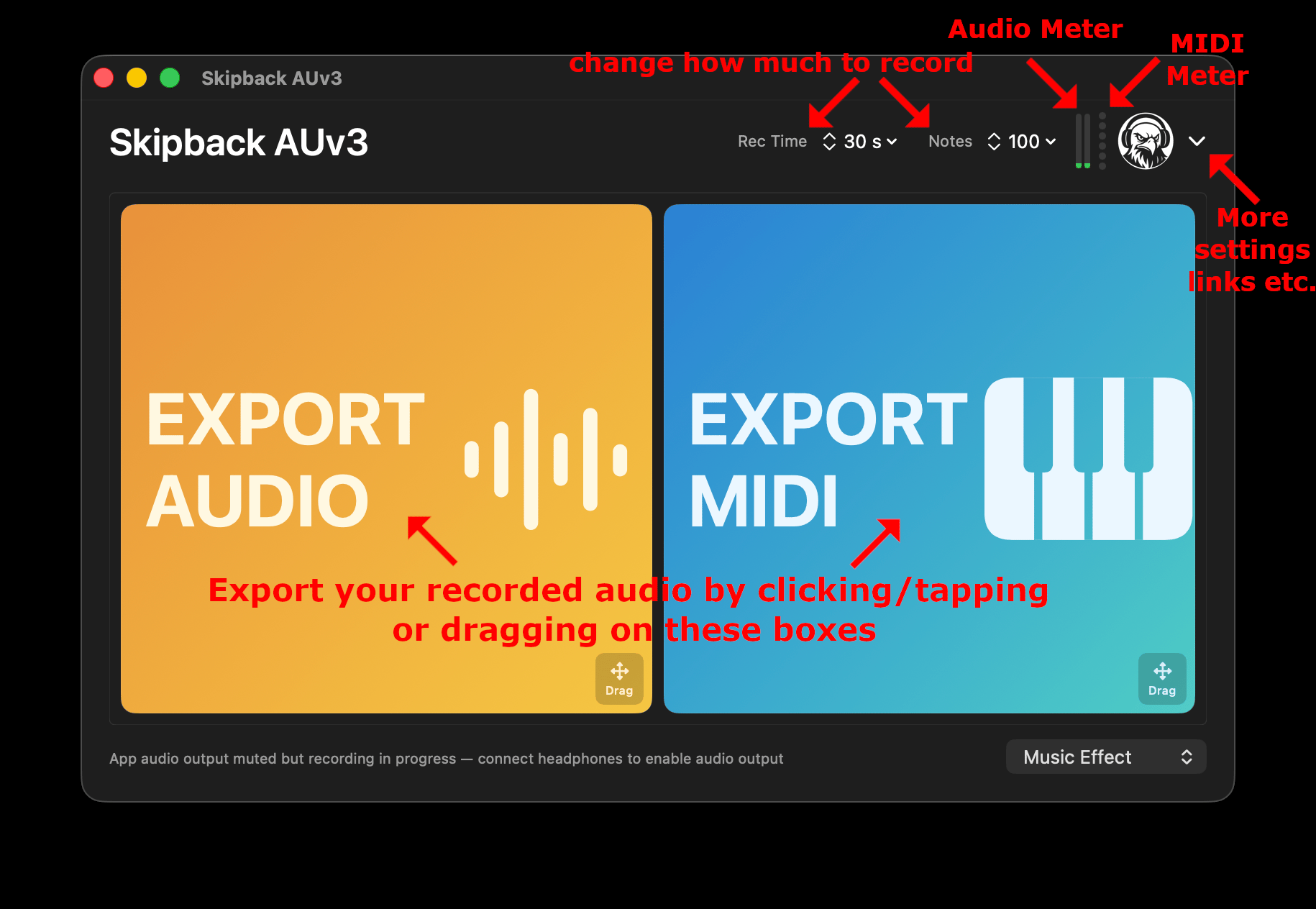 Skipback MacOS plugin with arrows pointing to UI elements